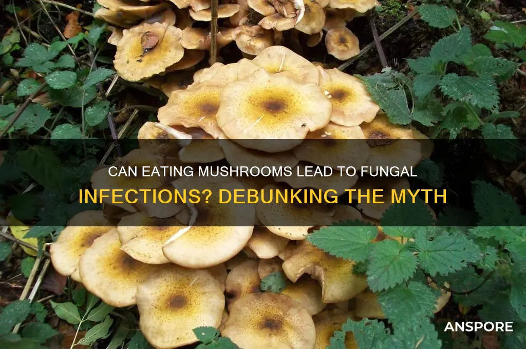 does eating mushrooms cause fungal infections