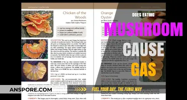 Do Mushrooms Cause Gas? Uncovering the Truth About Fungus and Flatulence