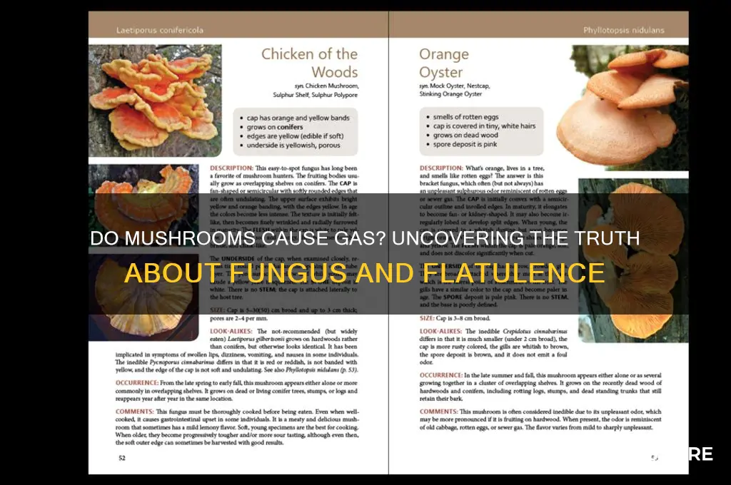 does eating mushrooms cause gas