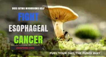 Mushrooms' Potential Role in Combating Esophageal Cancer: What Research Shows