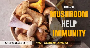Boost Your Immune System: The Surprising Benefits of Eating Mushrooms