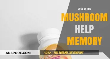 Boost Your Memory: The Surprising Benefits of Eating Mushrooms
