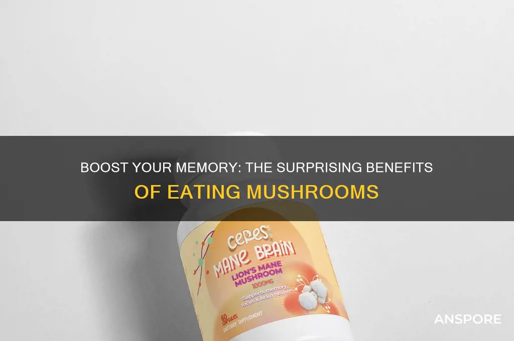does eating mushrooms help memory