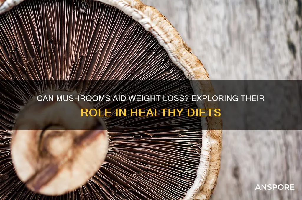 does eating mushrooms help you lose weight