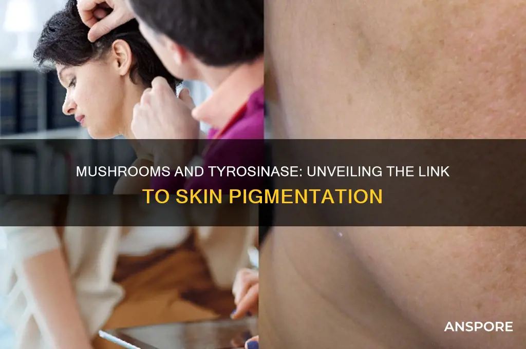 does eating mushrooms increase tyrosinase