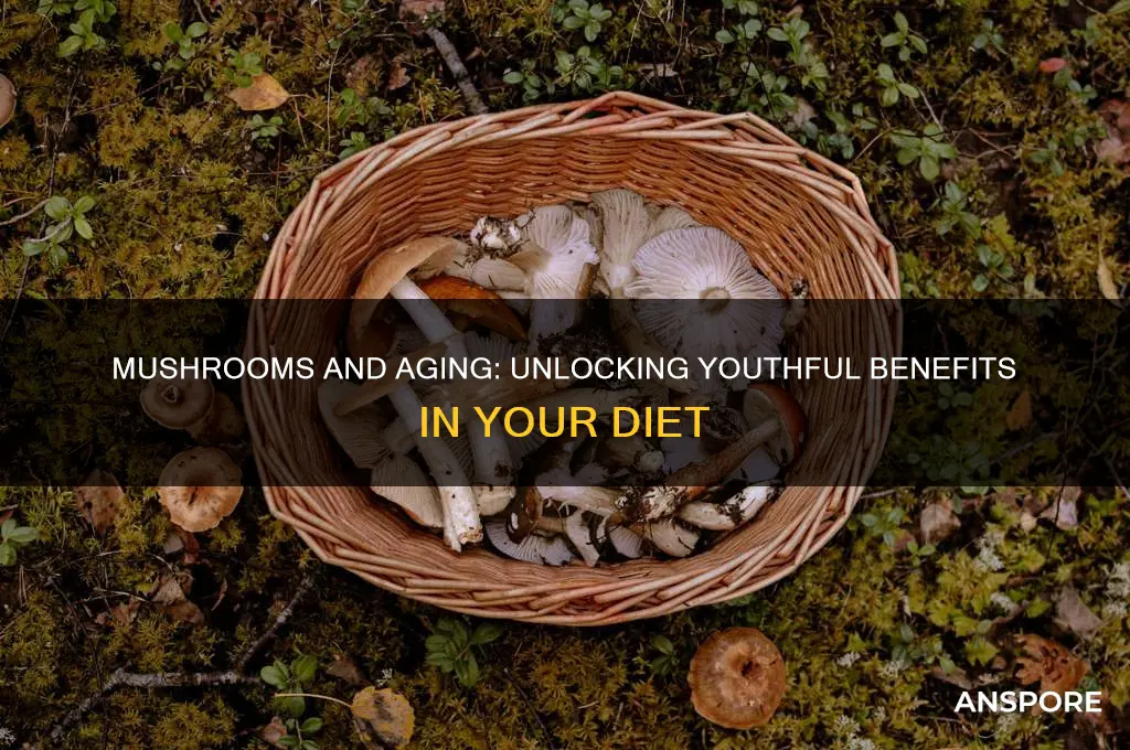 does eating mushrooms keep you younger