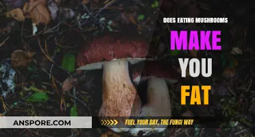 Mushrooms and Weight Gain: Separating Fact from Fiction in Your Diet