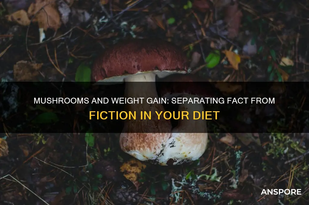 does eating mushrooms make you fat