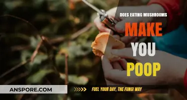 Mushrooms and Digestion: Do They Really Make You Poop More?
