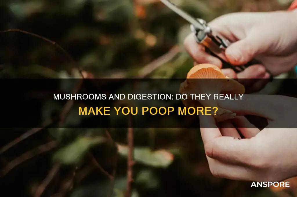 does eating mushrooms make you poop