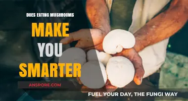 Mushrooms and Brain Power: Unveiling the Cognitive Benefits of Fungi