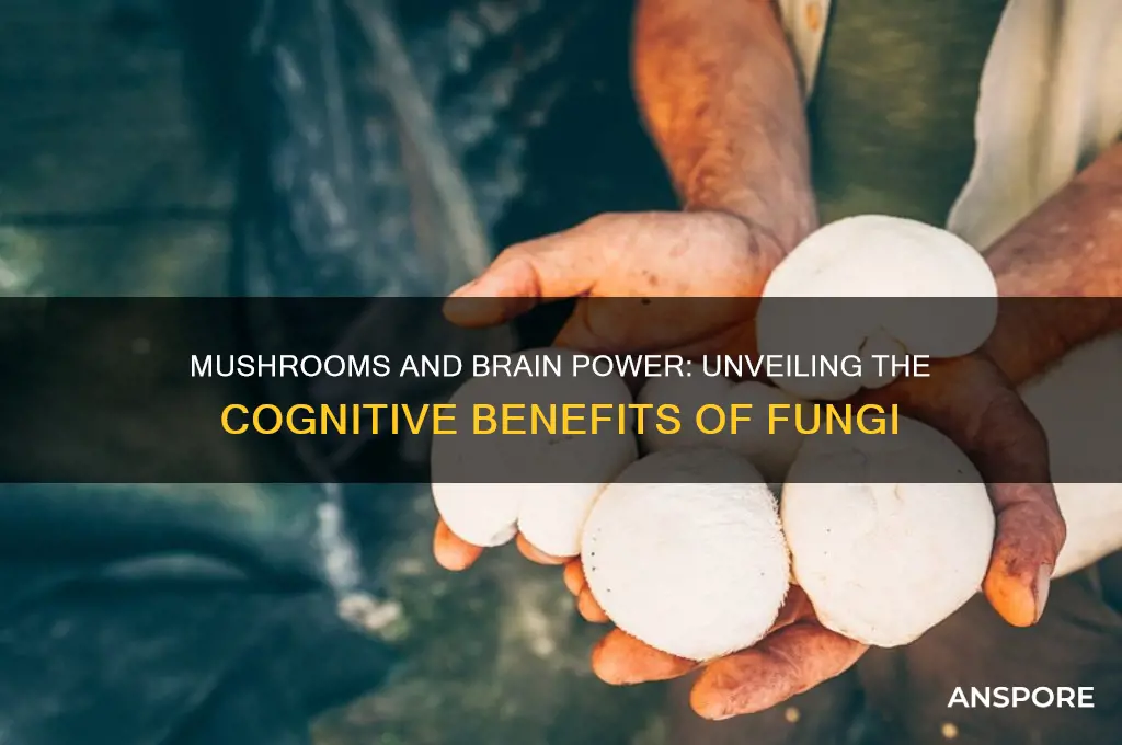 does eating mushrooms make you smarter