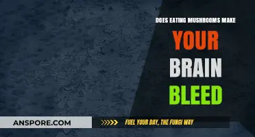 Do Mushrooms Cause Brain Bleeds? Separating Fact from Fiction