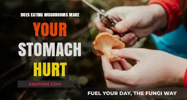 Can Mushrooms Upset Your Stomach? Understanding Digestive Reactions to Fungi