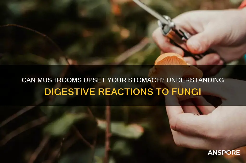does eating mushrooms make your stomach hurt