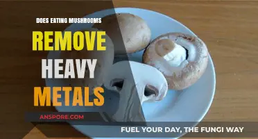 Can Mushrooms Detox Heavy Metals from Your Body? Facts Revealed