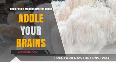 Mushroom Overconsumption: Fact or Fiction in Brain Fog Claims?