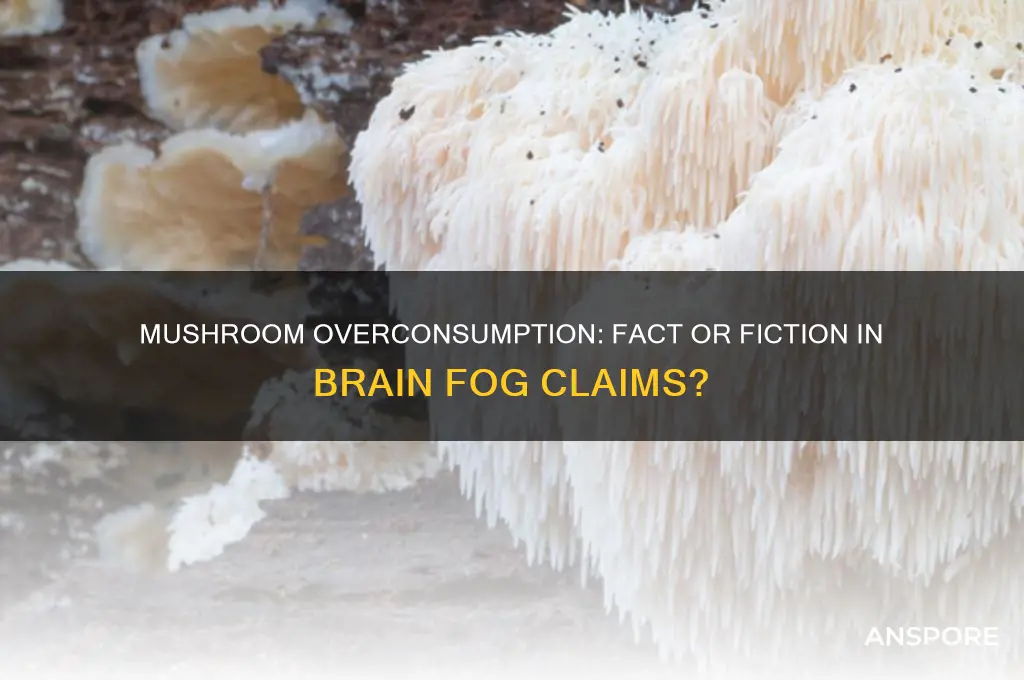 does eating mushrooms too much addle your brains