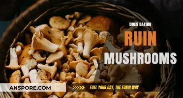 Does Cooking Destroy Mushrooms' Benefits? A Culinary Myth Debunked