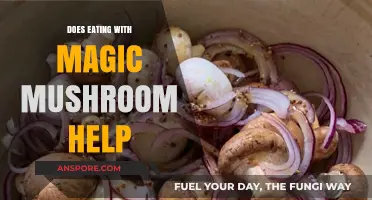 Magic Mushrooms in Meals: Exploring Potential Benefits and Risks