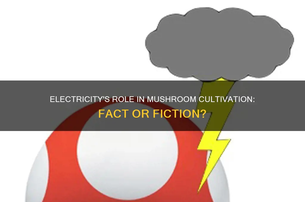 does electricity make mushrooms grow