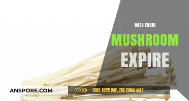 Enoki Mushrooms: How Long Do They Last?