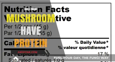 Enoki Mushrooms: Are They a Good Source of Protein?