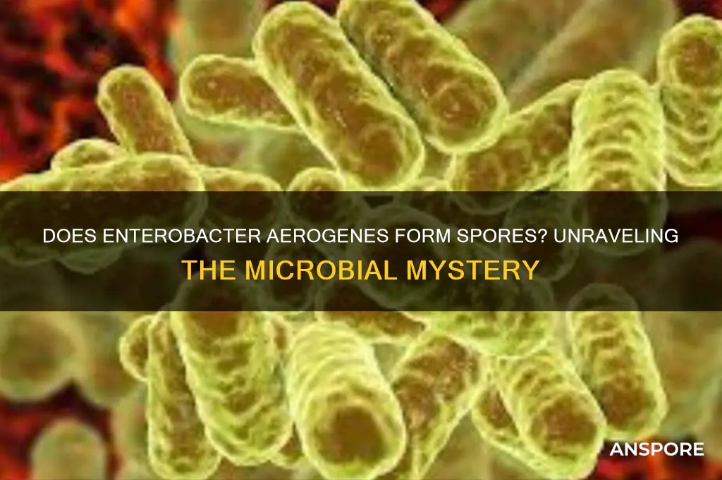 does enterobacter aerogenes form spores