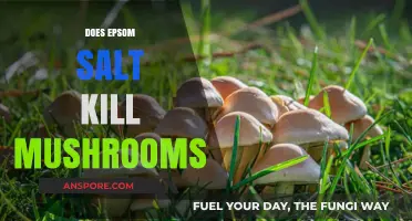 Epsom Salt: A Natural Way to Kill Mushrooms?