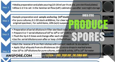 Does Etec Form Spores? Unraveling the Truth About Etec Sporulation