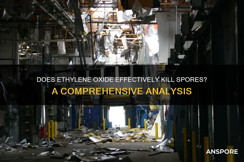 does ethylene oxide kill spores