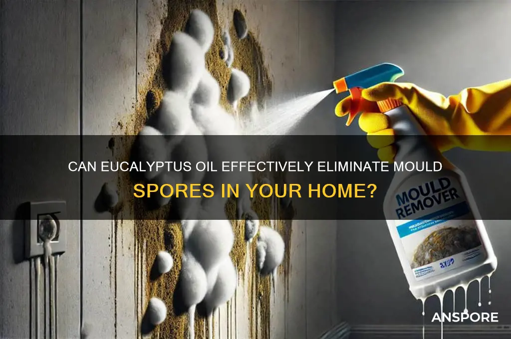 does eucalyptus oil kill mould spores