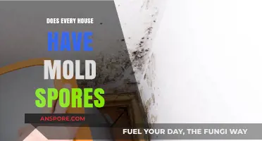 Do All Homes Harbor Mold Spores? Uncovering the Hidden Truth