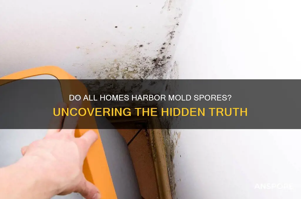 does every house have mold spores