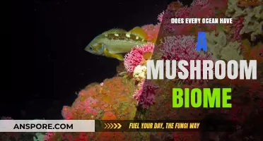 Mushroom Biomes: Unique Ocean Ecosystems