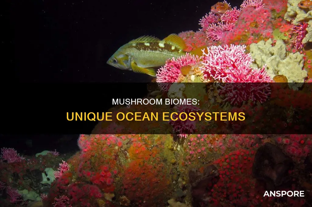 does every ocean have a mushroom biome