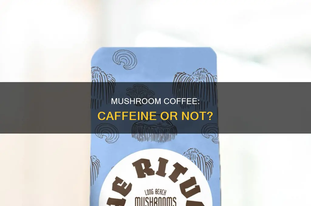 does everyday dose mushroom coffee have caffeine