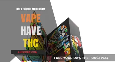 Does Exodus Mushroom Vape Contain THC? Facts and Insights