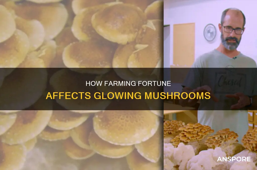 does farming fortune effect glowing mushrooms