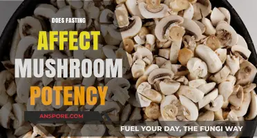 Fasting and Magic Mushrooms: Does It Affect Potency?