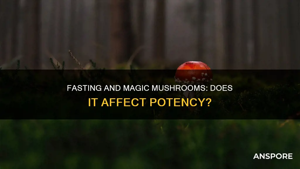 does fasting affect mushroom potency