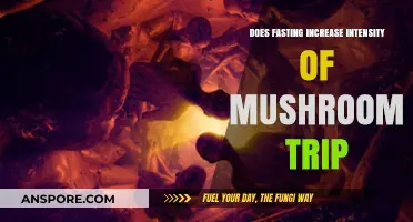 Fasting and Psychedelics: Enhancing the Mushroom Trip Experience