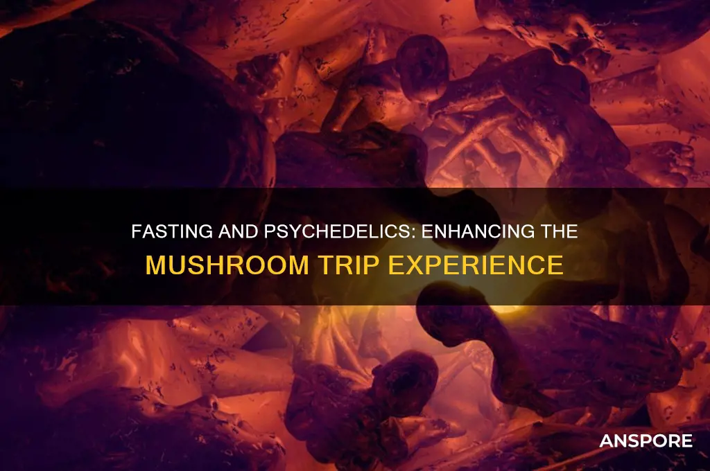 does fasting increase intensity of mushroom trip