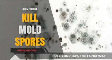 Does Febreze Kill Mold Spores? Uncovering the Truth and Facts