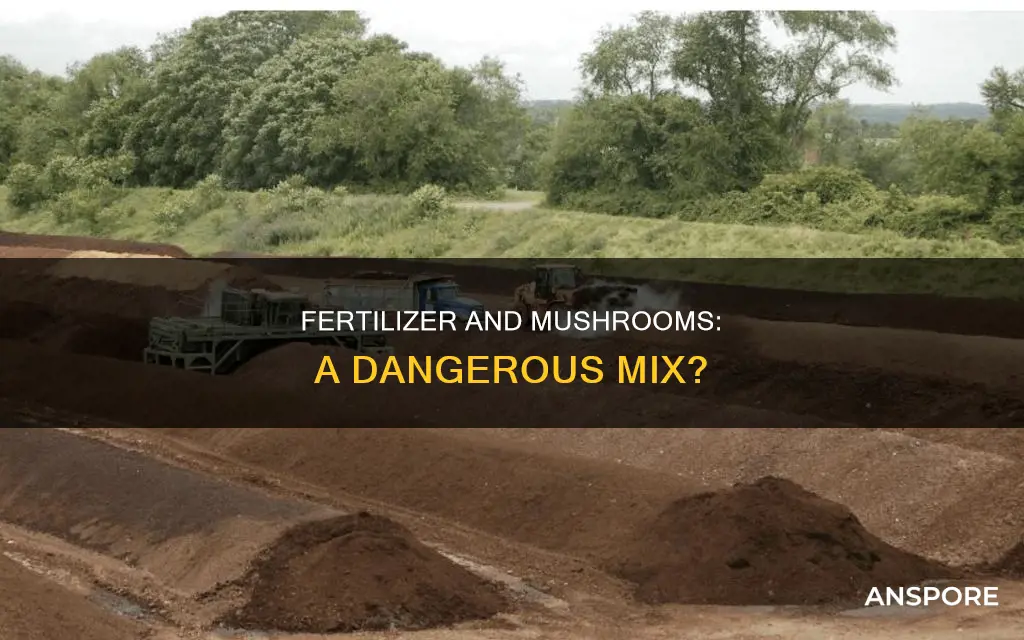 does fertilizer hurt mushrooms