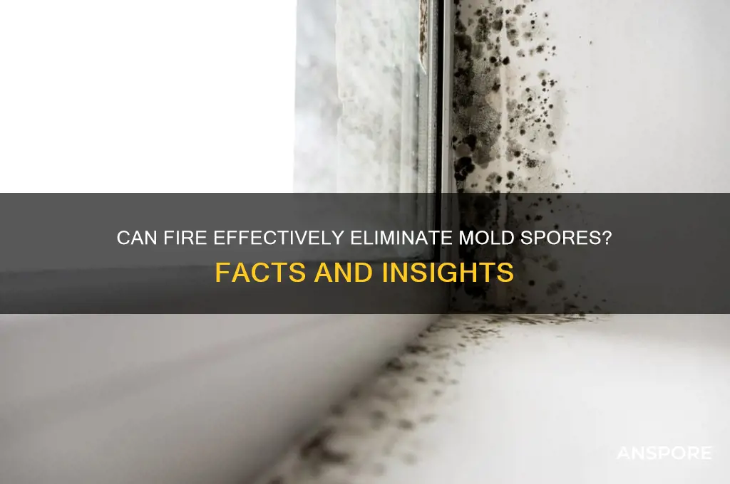 does fire kill mold spores