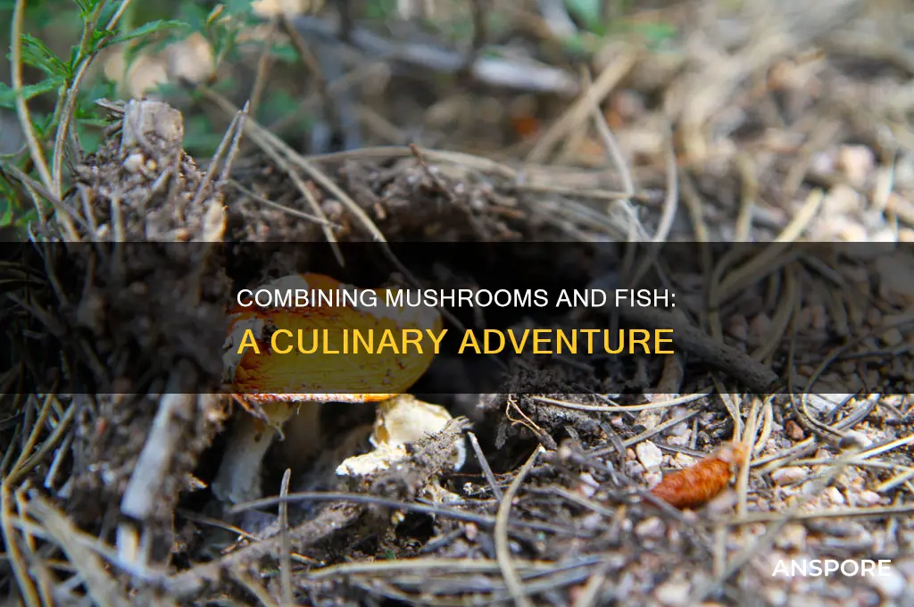 does fish and mushroom go together