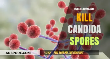Fluconazole's Effectiveness: Can It Eliminate Candida Spores Effectively?