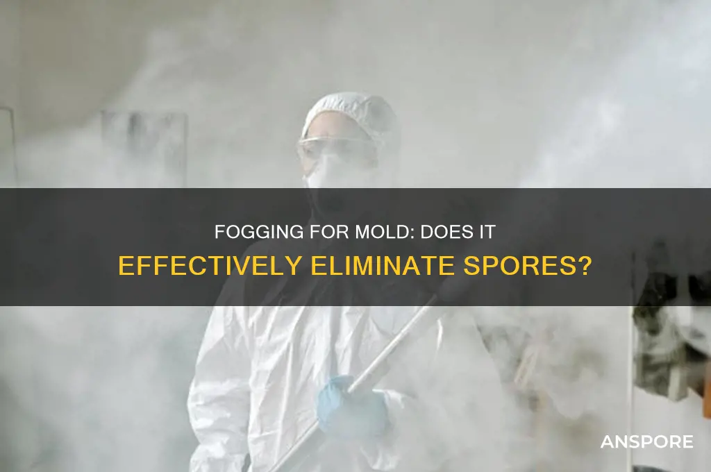 does fogging kill mold spores