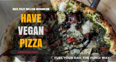 Vegan Pizza at Foley's Mellow Mushroom: Options and Insights